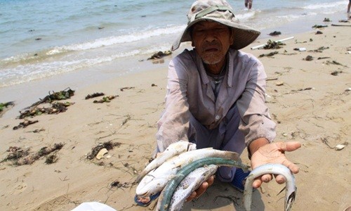 Chuyên gia Nga phản bác câu hỏi: Cá tôm hay là thép?