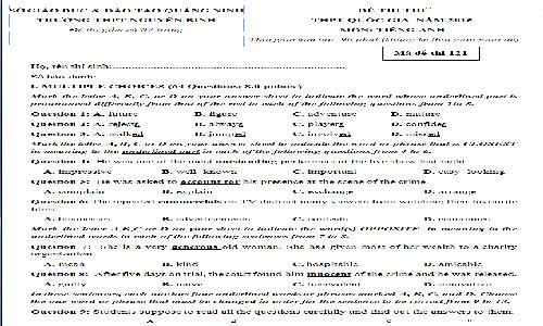 Đề thi thử THPT quốc gia 2015 môn Tiếng Anh THPT Nguyễn Bình