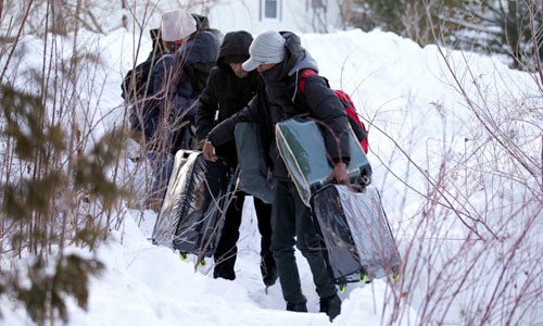 Dân di cư ồ ạt vượt biên sang Canada