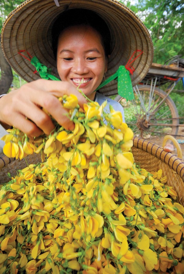 Những món ngon, bài thuốc quý từ bông điên điển