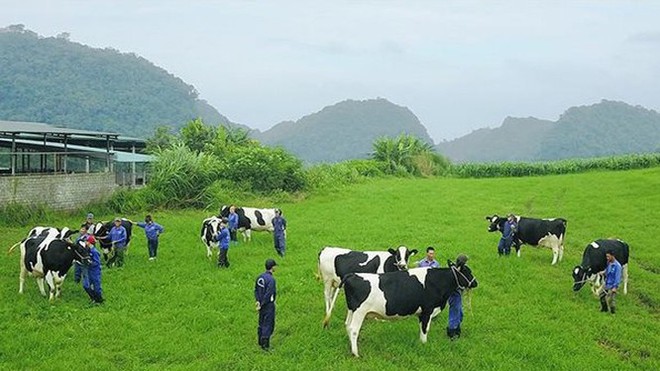 Vi phạm công bố thông tin, GTNFoods bị xử phạt 70 triệu đồng