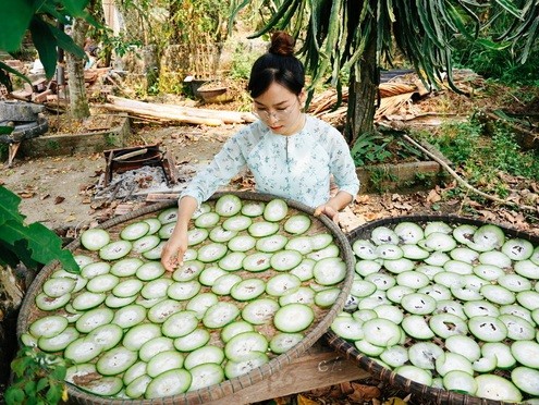 Bỏ thành phố với mức lương khá, cô gái Quảng Nam về quê làm ruộng  