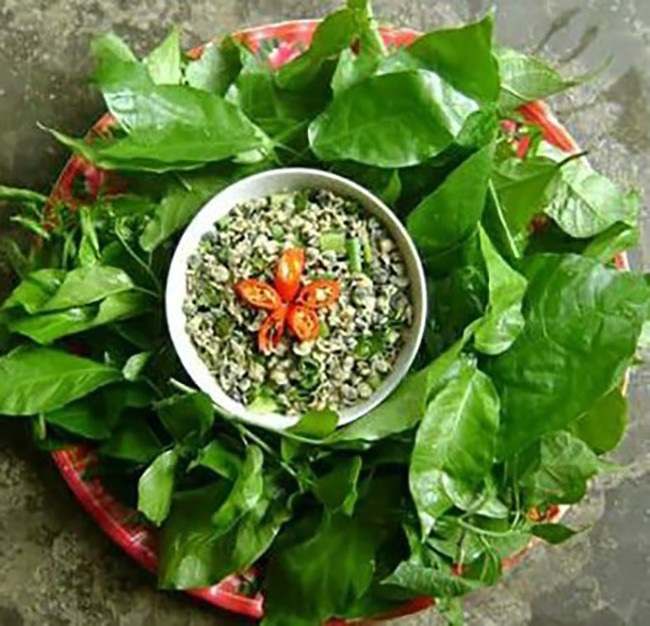 Cây dại cho lợn ăn “hóa” đặc sản khiến dân thành phố thích mê - Hình 2 Cay dai cho lon an “hoa” dac san khien dan thanh pho thich me-Hinh-2