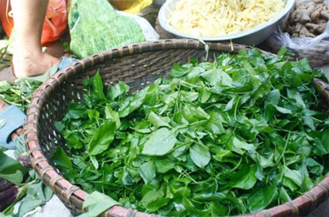 Cây dại cho lợn ăn “hóa” đặc sản khiến dân thành phố thích mê - Hình 3 Cay dai cho lon an “hoa” dac san khien dan thanh pho thich me-Hinh-3