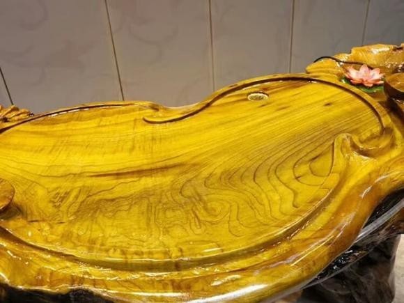 Bật mí loại gỗ quý hơn vàng, giá cao ngất ngưởng 800 tỷ Bat mi loai go quy hon vang, gia cao ngat nguong 800 ty