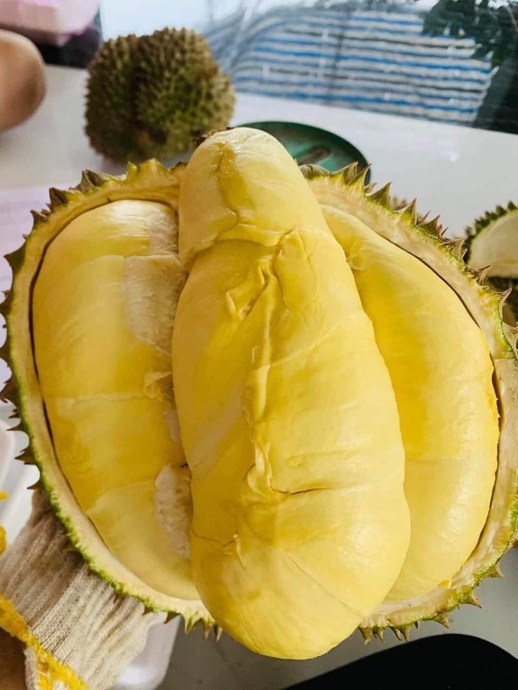 Chỉ từ 50.000 đồng/quả, sầu riêng mini đổ bộ chợ Việt Chi tu 50.000 dong/qua, sau rieng mini do bo cho Viet