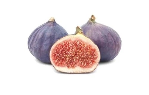 Giống sung khổng lồ 300.000 đồng/kg vẫn hút khách mua Giong sung khong lo 300.000 dong/kg van hut khach mua