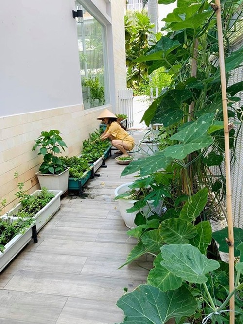 Cận cảnh khu vườn ngập hoa lá đẹp mộng mơ của Thân Thúy Hà - Hình 9 Can canh khu vuon ngap hoa la dep mong mo cua Than Thuy Ha-Hinh-9