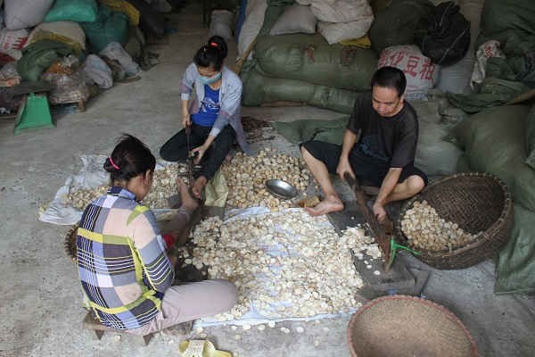 Đệ nhất làng thuốc