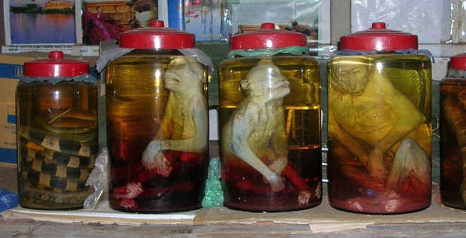 Rượu thuốc có cường tráng như người ta đồn thổi