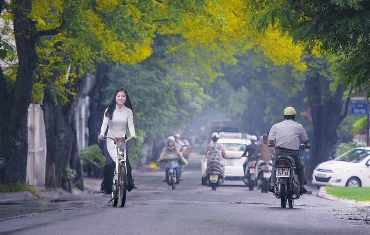 mùa thu chạm vào tim nhoi nhói