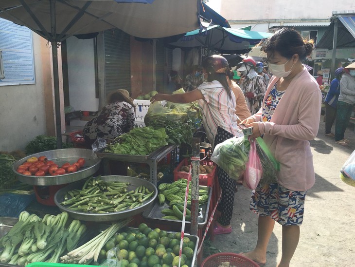 Nên chọn rau theo chính vụ, chọn các loại rau ăn lá có màu xanh nhạt, cây rau có vẻ bình thường. img_2832.jpg