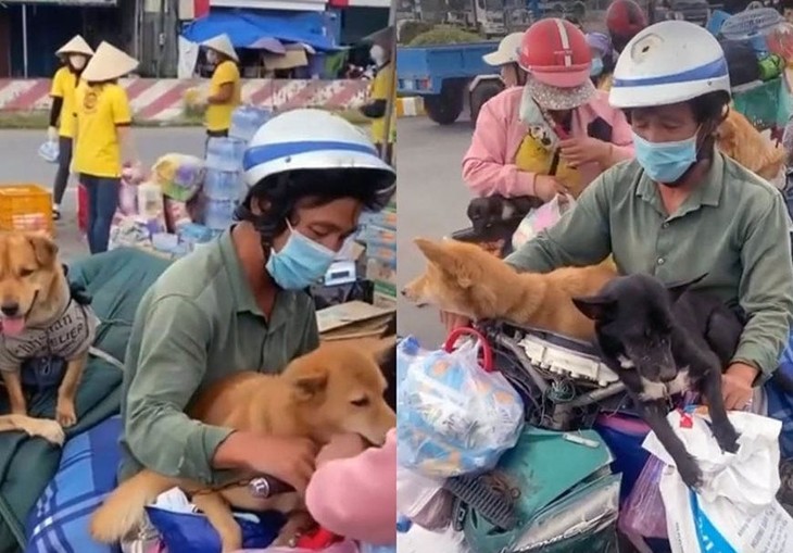 Cặp vợ chồng phải cách ly tại Trạm Y tế xã Khánh Hưng, huyện Trần Văn Thời (Cà Mau) do nhiễm Covid-19. 15 con chó theo về Cà Mau của họ đã bị tiêu hủy. Ảnh minh họa tieu-huy-cho-meo-ca-mau.jpg