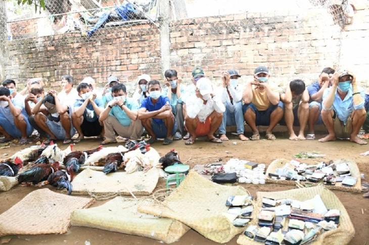 Các đối tượng đá gà ăn tiền cùng tang vật bị bắt quả tang. dsc_3821(1).jpg