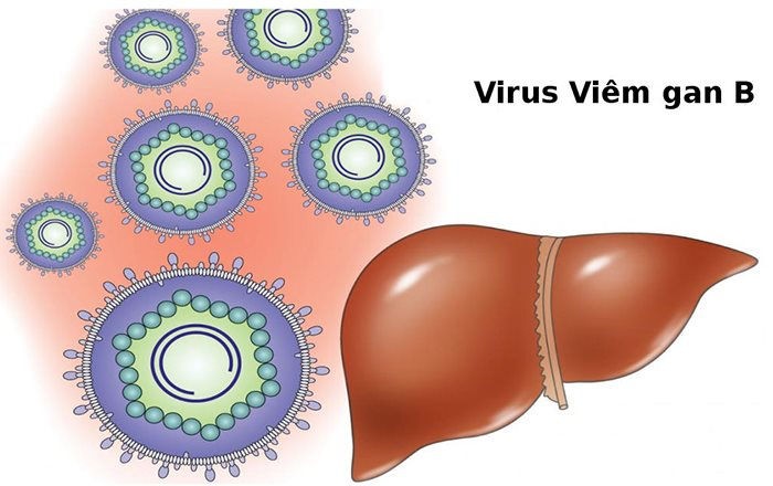 Nhiều nước trên thế giới phát hiện trẻ bị viêm gan cấp tính"lạ". viem-gan-virus.jpg