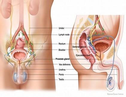 Vitamin E tăng gấp đôi nguy cơ ung thư tiền liệt tuyến