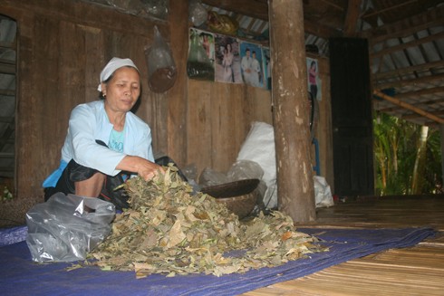 Bà lang với bài thuốc “cải tử hoàn sinh“