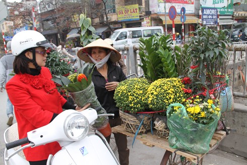 Hướng dẫn kỹ thuật chọn hoa tránh... “điếc” 