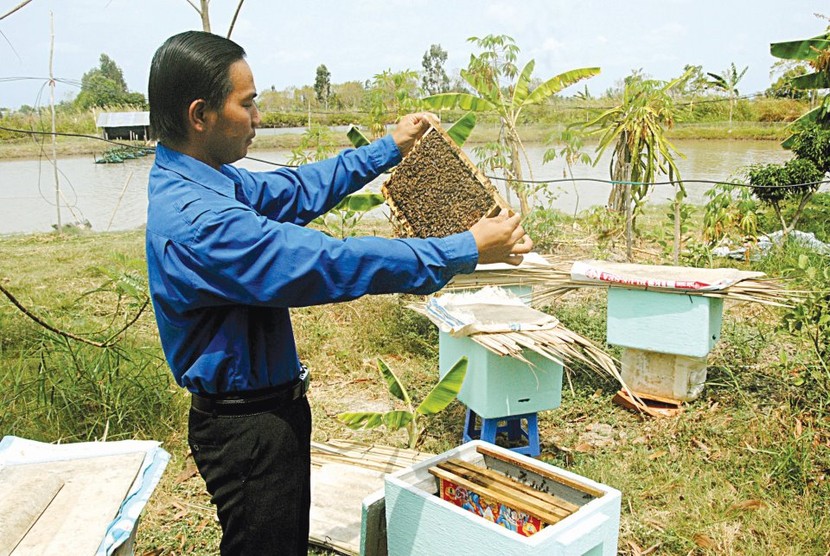 Độc chiêu nuôi ong bằng thùng xốp, mật thu đều đều