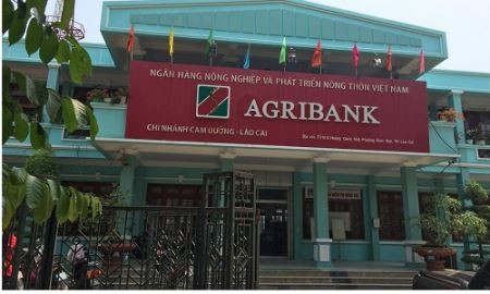 Chuyện lạ Agribank: Không mở tài khoản, 50 triệu vẫn "rơi trúng đầu"