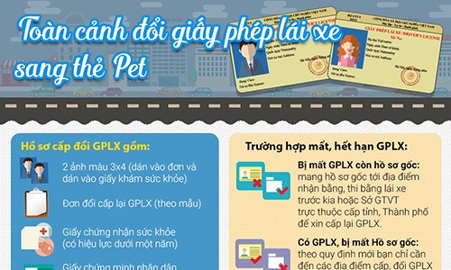 Quy trình đổi giấy phép lái xe sang thẻ PET