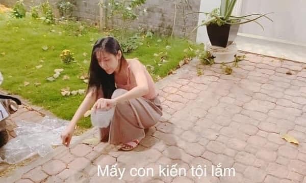 Thuỷ Tiên thương yêu loài kiến qua lời kể Công Vinh