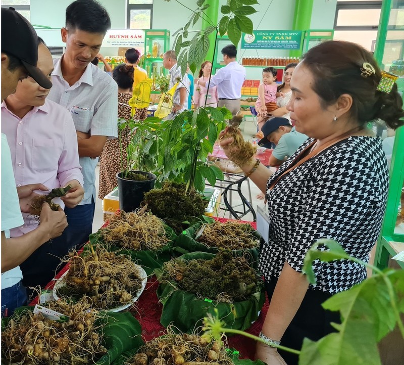 Lễ hội sâm Ngọc Linh: 3 ngày thu được gần 9,5 tỷ đồng 