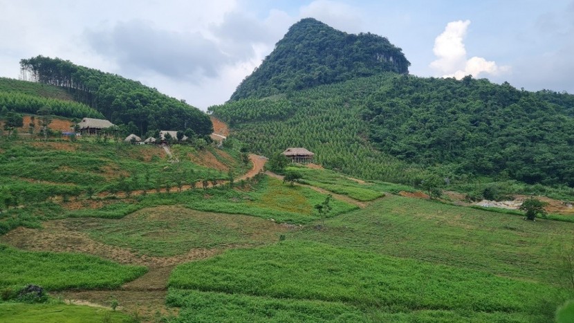 Cao nguyên Đông Bo - điểm đến dã ngoại mới lạ thôi thúc khám phá