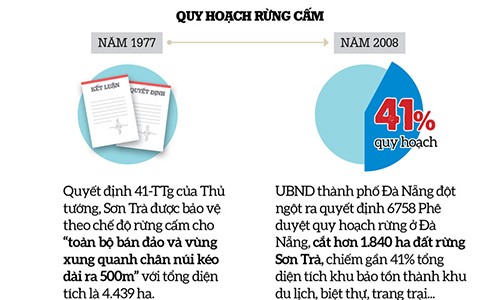 Bí thư Xuân Anh, Chủ tịch Huỳnh Đức Thơ, 9 dự án, 31 căn nhà