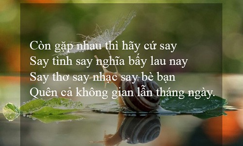 10 triết lý nhân sinh cần biết để trở thành người hạnh phúc