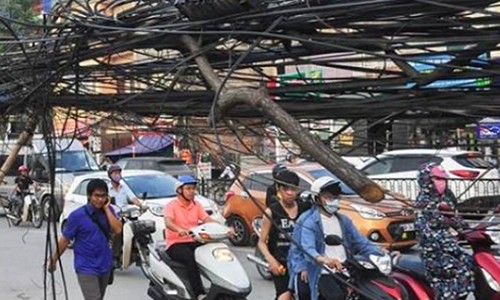 Video: "Động bàn tơ" bủa vây người dân ở Hà Nội