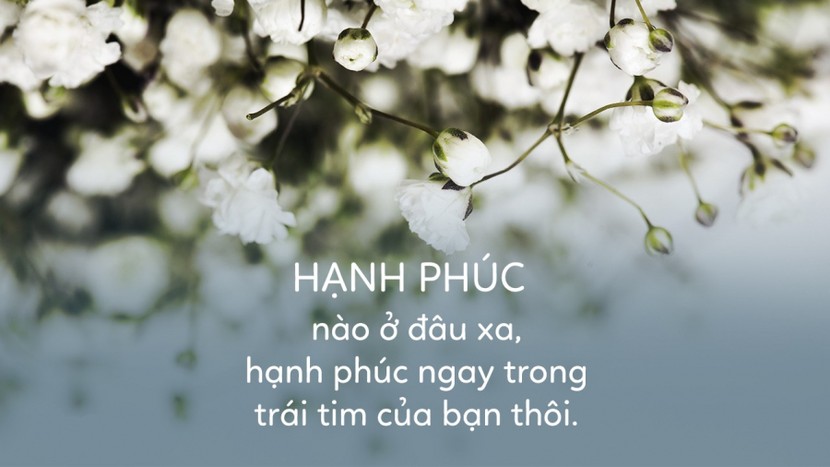 Nếu bạn đã có gia đình hãy đọc ngay bài này kẻo hối hận thì quá muộn