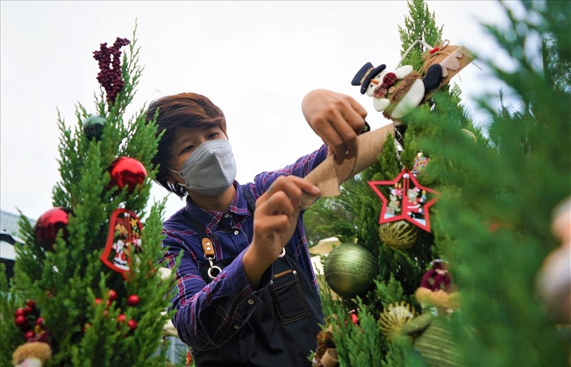 "Bản sao" cây thông thật chỉ 150.000 đồng đắt khách mùa Giáng sinh 2021