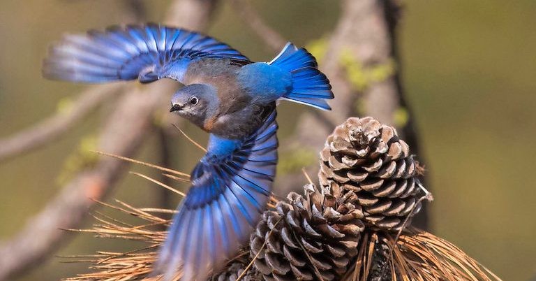 Ai sinh ngày Âm lịch này liên tục đón may mắn, nhận tin vui