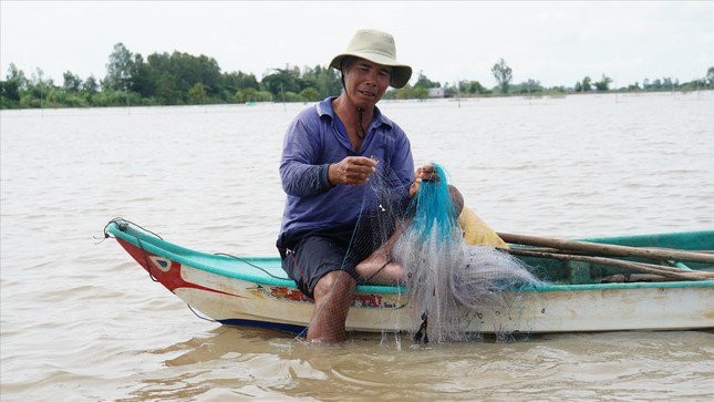 Chơi vơi mùa nước nổi: Đồng Tháp Mười đói tôm, cá