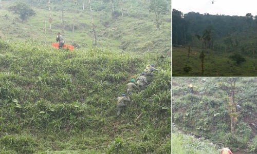 Rơi máy bay quân sự tại Ecuador, 22 người thiệt mạng 