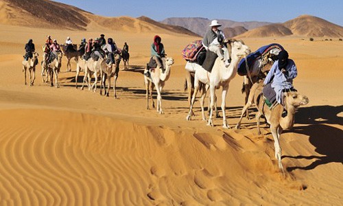 Thủ phạm biến Sahara thành sa mạc chính là con người?