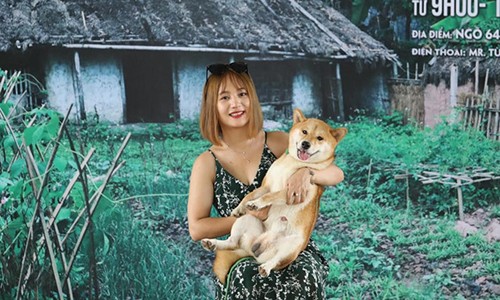 Đạo diễn tìm thêm "diễn viên 4 chân" sau tranh cãi chó Nhật đóng Cậu Vàng