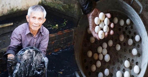 Lão nông nuôi loài cua đẻ trứng như gà, cho thu nhập cao