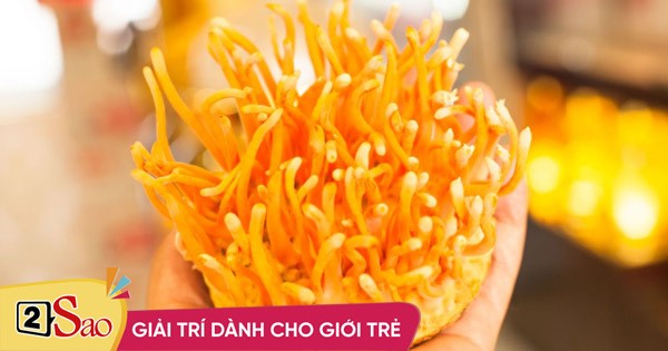 F0 đua nhau bồi bổ đông trùng hạ thảo, 4 đối tượng phải tránh xa!