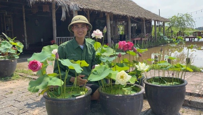 Trồng sen trong chậu, nam cử nhân kiếm hàng trăm triệu mỗi tháng