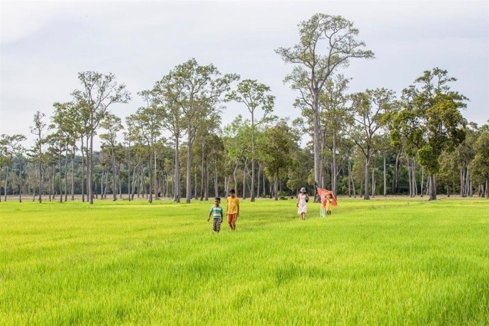 Check in "cánh đồng châu Âu" đẹp mê hồn ở Tà Lài