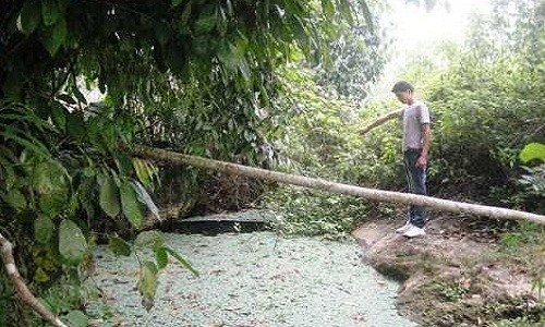 Chuyện kỳ bí ma mị về "hang nuốt người" ở Lào Cai