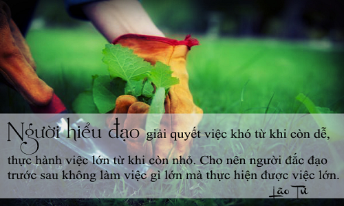 7 triết lý để đời của Lão Tử giúp bạn thành công vượt trội 