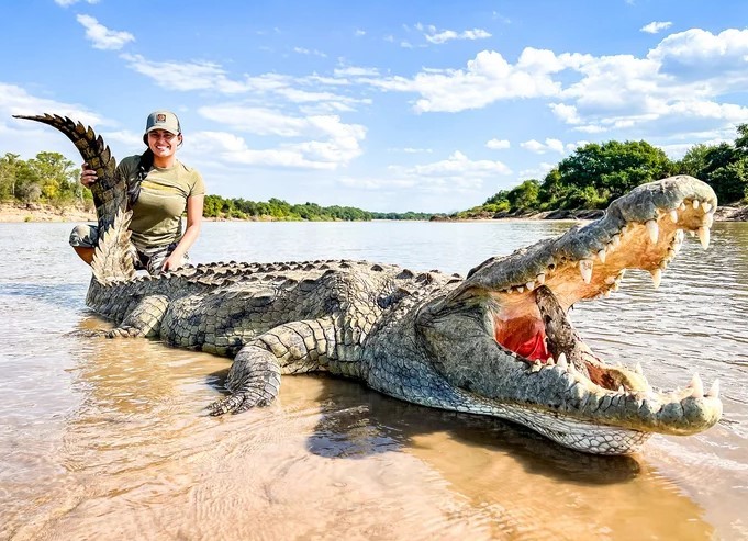 Tại sao 12.000 cá sấu sông Nile sinh sống trong hồ giữa sa mạc?