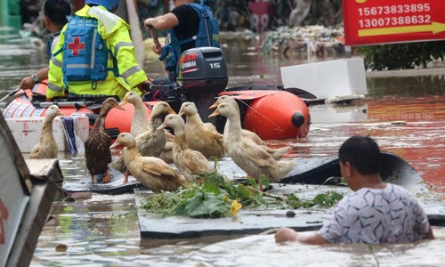 Chùm ảnh lũ lụt tàn phá các nước châu Á