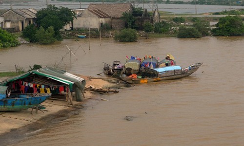 Chùm ảnh: Xóm chài không hộ khẩu giữa lòng thị xã