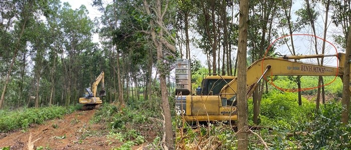 Máy xúc gắn logo Tập đoàn Bình Minh ngang nhiên phá cây trồng người dân?