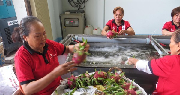 Xuất khẩu nông sản sang Trung Quốc: Chuẩn bị cho "cuộc chơi" mới