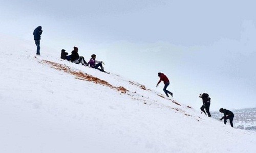 Hi hữu: rủ nhau trượt tuyết ở... sa mạc Sahara  